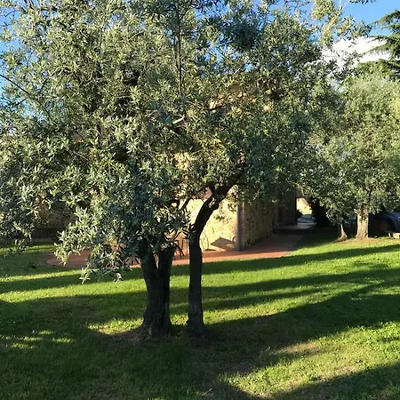 La Casina Rosella * Montaione